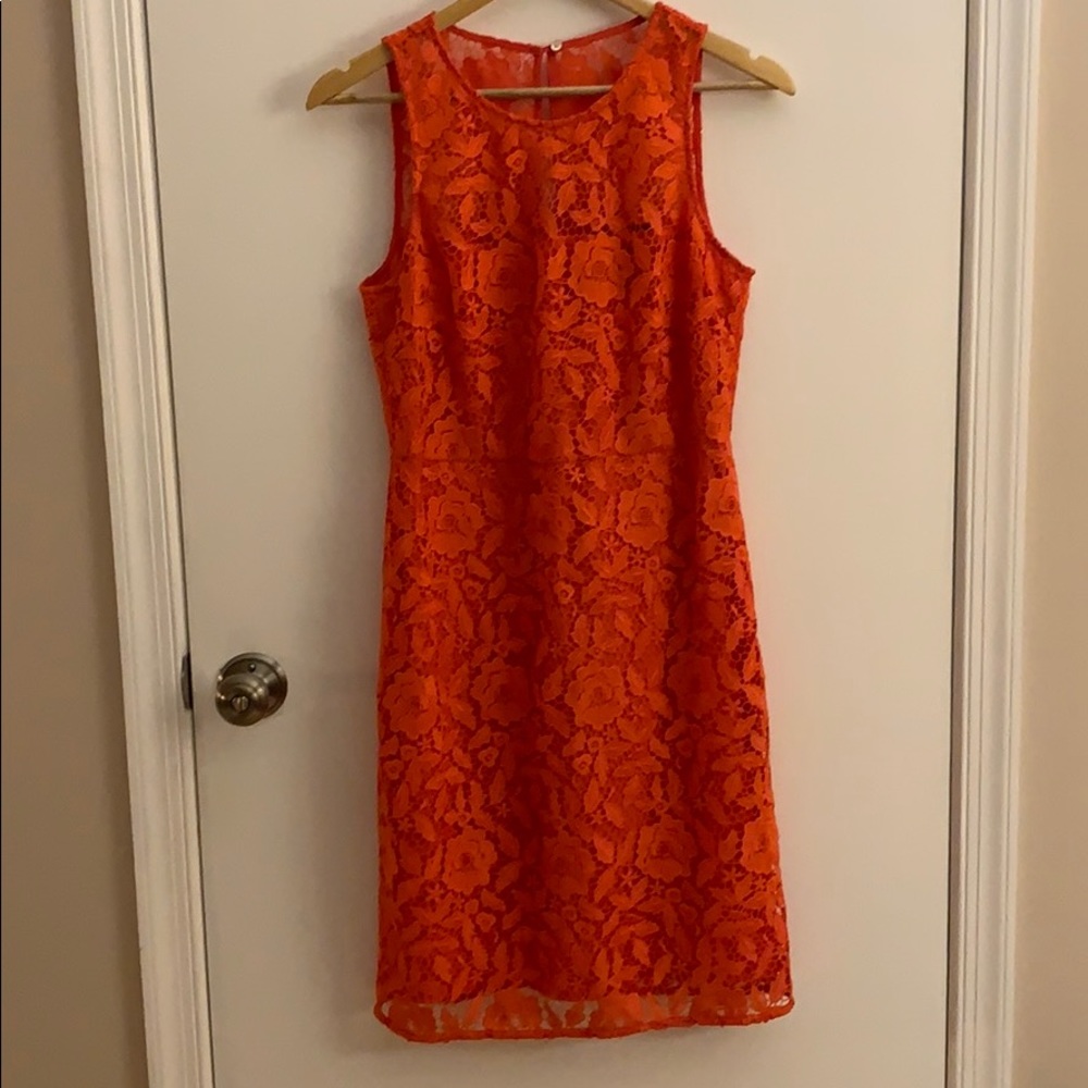 🌹J CREW Collection Lace Dress🌺
